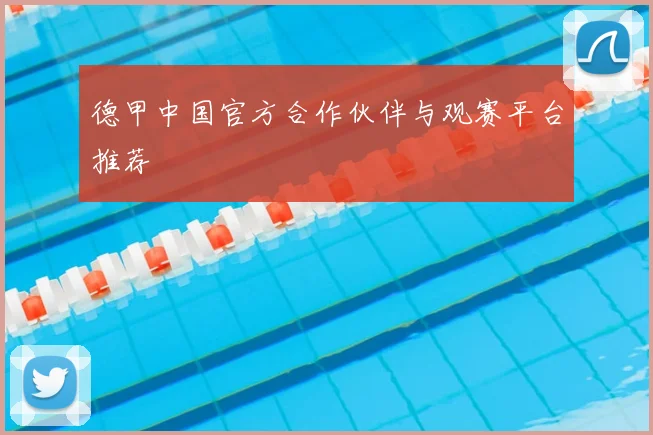 德甲中国官方合作伙伴与观赛平台推荐